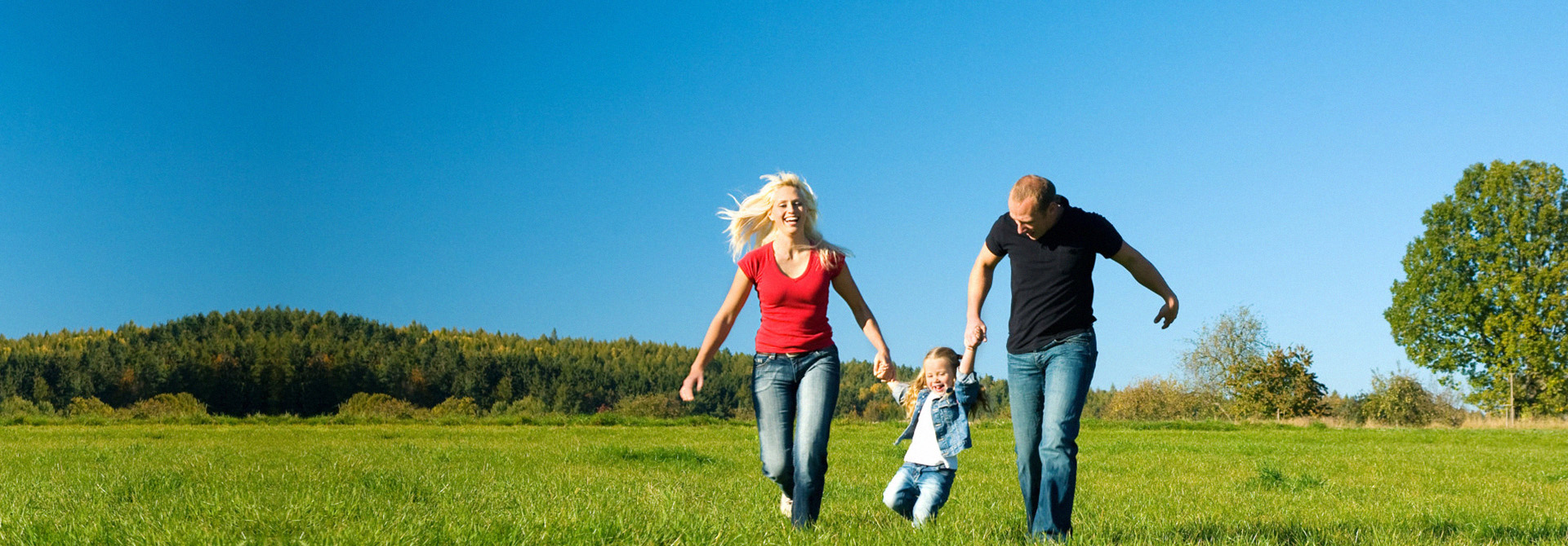 专业除虫 浩源相伴