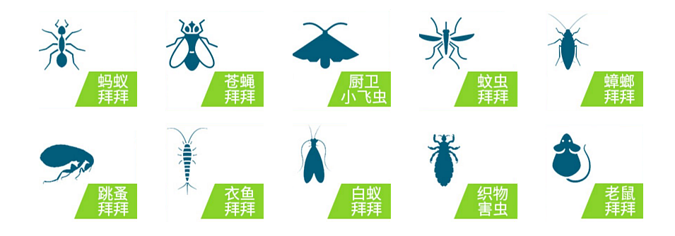 浩源虫控消杀服务范围.png 浩源虫控消杀服务范围.png